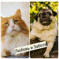 Лого